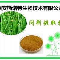 問(wèn)荊提取物 公母草粉 現(xiàn)貨供應(yīng)中