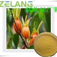 梔子速溶粉，梔子粉
