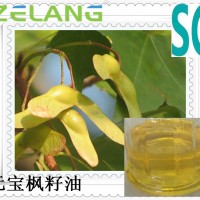 元寶楓籽油