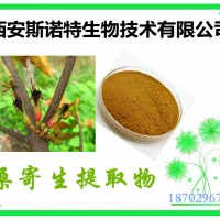 桑寄生提取物 規(guī)格10:1 比例萃取 包郵