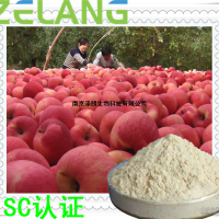 蘋果濃縮粉，蘋果粉，壓片糖果ODM代加工，江蘇南京SC認證