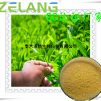 綠茶提取物，綠茶濃縮粉，ISO22000食品安全認(rèn)證