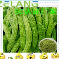 苦瓜提取物,苦瓜濃縮粉，苦瓜汁粉，苦瓜粉
