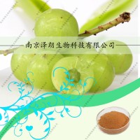 余甘子固體飲料，液體飲料代加工，余甘子提取物，余甘子壓片