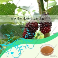 桑葉提取物，ISO22000食品安全認(rèn)證，固體飲料廠家