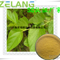 桑色素，98%，桑黃素，motin，480-16-0