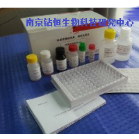細菌纖維素檢測試劑盒48T/96T