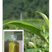 天然薄荷油 薄荷油價(jià)格 薄荷油生產(chǎn)廠家