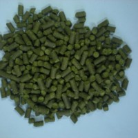 供應(yīng)面包改良劑啤酒花