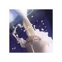 乳化牛奶香精