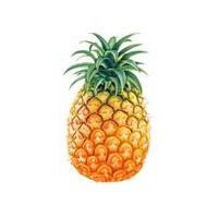 供應(yīng)各種果膠