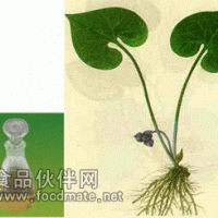 供應(yīng)細(xì)辛油