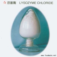 供應(yīng)溶菌酶