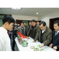 公司專業(yè)提供蔬菜水果代加工貼片（真空冷凍干燥食品食品）
