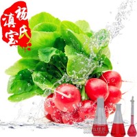 蘿卜紅 天然食用色素 廠家價格批發(fā)直銷