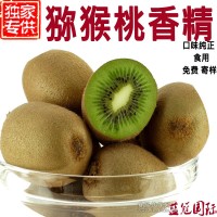 獼猴桃香精 食品級(jí) 廠家直銷