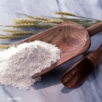 低價(jià)銷售面粉廠用蘇打餅干粉酶制劑