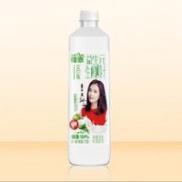 【椰泰酸奶 椰泰果汁】招商項(xiàng)目詳情