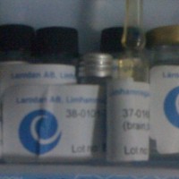 磷脂酰甘油PG）現(xiàn)貨）