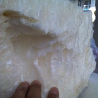 川蠟 蟲(chóng)白蠟 天然川蠟 天然蟲(chóng)白蠟 東盛