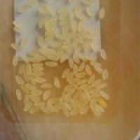 人造大米生產(chǎn)線