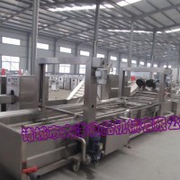 翻浪式青豆苗清洗機(jī) 暢銷型氣泡洗菜機(jī)