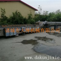 竹蓀菇清洗機(jī) 蘑菇清洗機(jī) 食用菌清洗線