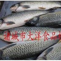 專業(yè)的脫魚(yú)鱗機(jī) 脫鱗快速效果好