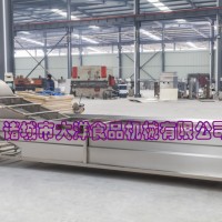 廠家直銷質(zhì)量好的氣浪式果蔬清洗設(shè)備 暢銷的高效率氣泡清洗機(jī)