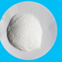 生產(chǎn)廠家直銷 金科德 食品級 磷酸氫鈣 磷酸二鈣