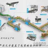 礦泉水全自動(dòng)裝箱線，純凈水全自動(dòng)裝箱機(jī)