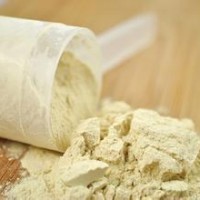 優(yōu)質(zhì)食品級蛋白 粉 蛋白 粉生產(chǎn)廠家