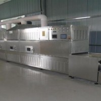 微波雞翅殺菌設備