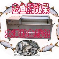 專業(yè)脫魚鱗機(jī) 全自動(dòng)刮魚鱗設(shè)備
