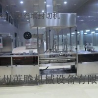 供應(yīng) YTFFS-T型自動成型灌裝封切一體機