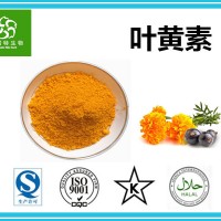 葉黃素80% 葉黃素粉橘黃色粉末 萬壽菊提取物 現(xiàn)貨供應(yīng)