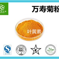 葉黃素5% 萬壽菊粉 萬壽菊提取物 扶風(fēng)生產(chǎn)基地供應(yīng)