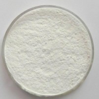 低聚果糖 水溶性膳食纖維99%食品級(jí)甜味劑