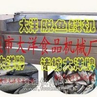 專業(yè)處理魚鱗的設(shè)備-YQT系列脫魚鱗機(jī)