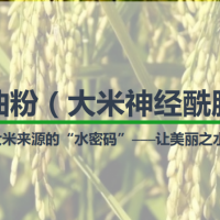 供應(yīng)米糠油粉（ 3%的大米神經(jīng)酰胺 ）