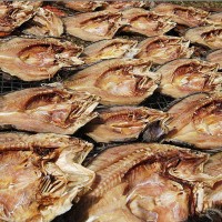 魚干烘干機(jī) 魚的烘干工藝
