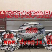 大洋牌脫魚鱗機 專業(yè)的去魚鱗機械
