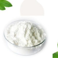 食品級(jí)甜菊糖苷甜味劑廠家直銷批發(fā)價(jià)格生產(chǎn)廠家