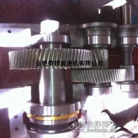 耐用型ZLYJ173-Ⅹ圓柱減速機(jī)配件原裝和價(jià)格