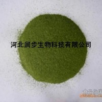 優(yōu)質(zhì)食品級迷迭香提取物生產(chǎn)廠家