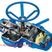 美國(guó)利米托克LIMITORQUE電動(dòng)執(zhí)行器MX-10