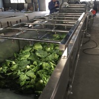 黃桃去農(nóng)殘氣泡清洗機(jī) 果蔬清洗去雜機(jī)