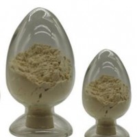 β-葡聚糖酶 食品級(jí)β-葡聚糖酶 批發(fā)β-葡聚糖酶