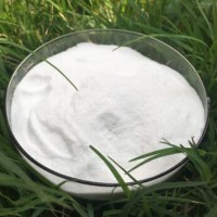 低聚果糖 甜味劑低聚果糖價格 批發(fā)低聚果糖
