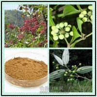 菝葜提取物 菝葜粉